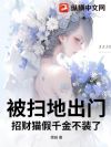 ��ɨ�س��ţ��в�è��ǧ��װ��